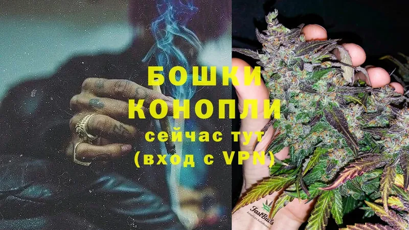 купить   Болохово  Марихуана SATIVA & INDICA 